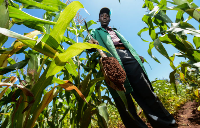 soil carbon sequestration