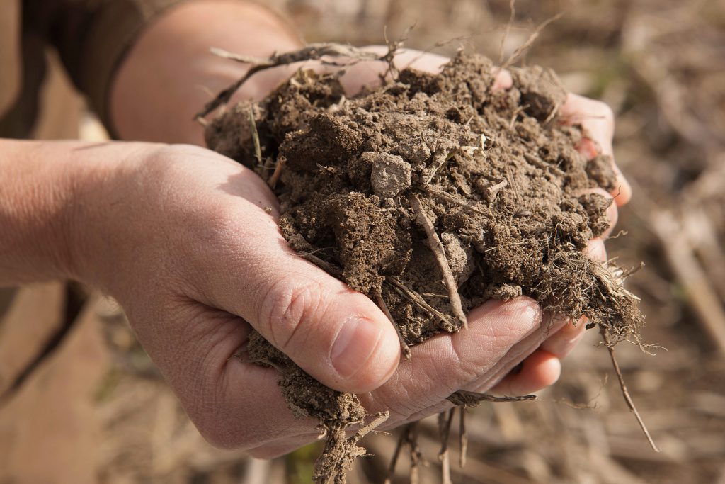 soil-organic-carbon-a-call-to-action-on-world-soil-day-samples