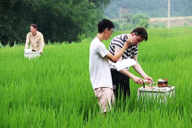 Studying climate-smart agriculture in Vietnam » SAMPLES