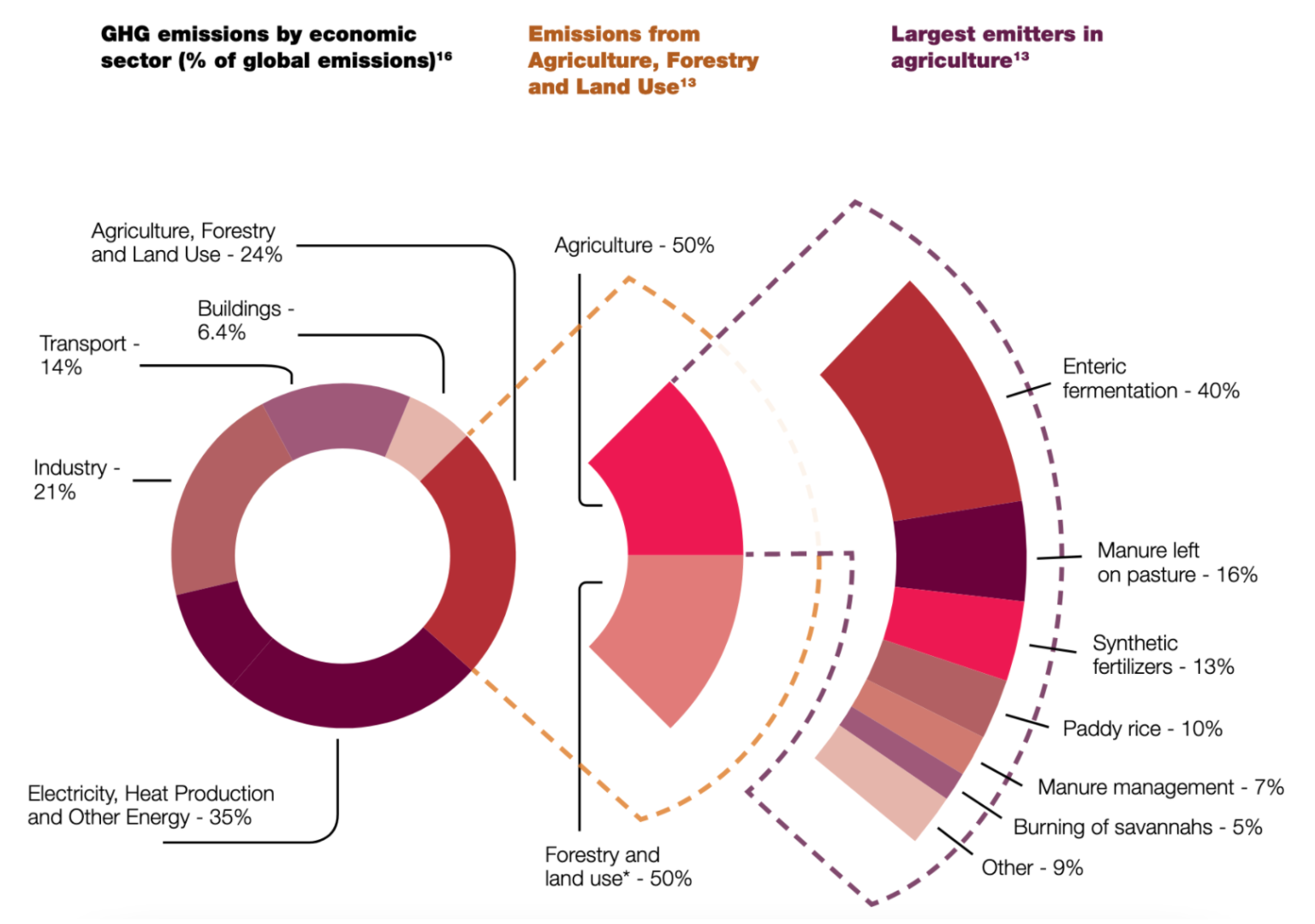 organic-vs-conventional-farming-which-has-lower-environmental-impact